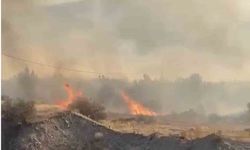 Elazığ’da örtü yangını söndürüldü