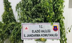 Elazığ’da uyuşturucuyla mücadele