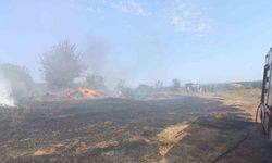 Erdek’te zeytinlik ve otluk alanda çıkan yangın söndürüldü