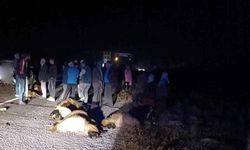 Erzincan’da otomobil koyun sürüsüne daldı