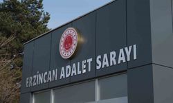 Erzincan’da raftingde taciz iddiasına ilişkin 1 kişi tutuklandı