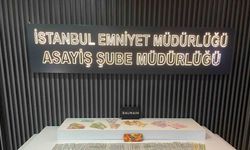 Esenyurt’ta ev sahibinin duşa girmesini fırsat bilen Endonezyalı bakıcı, 5 milyon değerinde döviz ve ziynet eşyayı çaldı