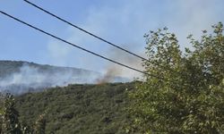 Gedelek yangını ile ilgili 1 kişi gözaltına alındı