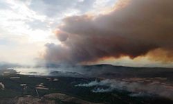 Gelibolu’da devam eden orman yangını dron ile görüntülendi