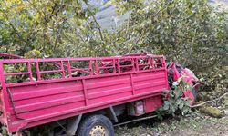 Giresun’da kamyonet fındık bahçesine yuvarlandı: 4 ölü, 1 yaralı
