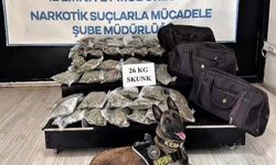 Hakkâri’de kamyonette 26 kilogram skunk ele geçirildi: 1 şüpheli tutuklandı
