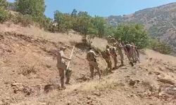 Hakkari’deki orman yangınlarında askerler ve köylüler seferber oldu
