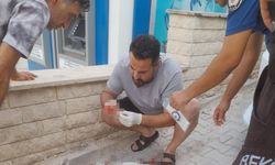 Hamile köpeği tüfekle vuran cani tutuklandı