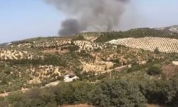 Hatay’da orman yangını