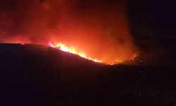 Hatay’da orman yangınının etkili olduğu bölgede evler tahliye ediliyor