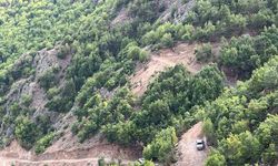İspir’de bitki örtüsü yangını korkuttu