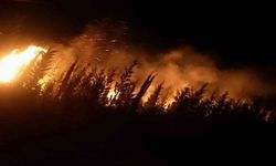 İzmir’de makilik ve ormanlık alanda yangın