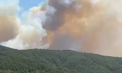 İznik’te orman yangını başladı, müdahale sürüyor