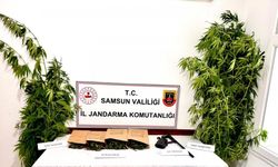 Jandarma kubar esrar ve kenevir ele geçirdi