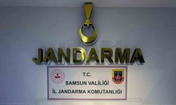 Jandarmadan 2 ayrı uyuşturucu operasyonu: 2 gözaltı