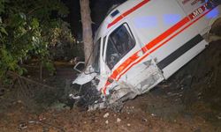 Kamyonetin çarptığı ambulans bahçeye uçtu: 5 yaralı