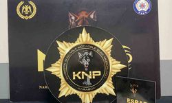 Karabük’te uyuşturucu operasyonlarında 1 kişi tutuklandı