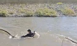 Karasu nehrine kapılan yolcuyu arama çalışmalarına devam ediliyor