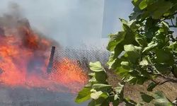 Karmürsel’den sonra Kandıra’da da yangın başladı