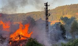 Kastamonu’da alevlere telim olan iki samanlık yandı