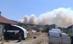 Kocaeli’de orman yangını başladı