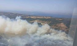 Kocaeli’de ormanı yangını nedeniyle Akçat köyü boşaltılıyor