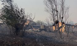 Kocaeli’deki orman yangının enerjisi 22.5 saat sonra düştü
