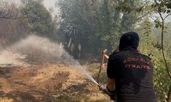 Kocaeli’deki orman yangınına 10 helikopter ve 6 uçakla müdahale sürüyor