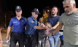 Konya’da baba ve 11 yaşındaki oğlunu öldüren zanlı mısır tarlasında yakalandı