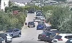 Köpeği için hukuk mücadelesi başlattı