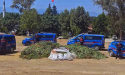 Köyceğiz uyuşturucu operasyonunda 2 tutuklama
