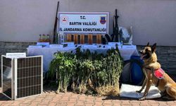 Kurucaşile’deki uyuşturucu operasyonunda 1 kişi tutuklandı