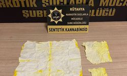 Kütahya’da uyuşturucu operasyonu: 7 bin 952 içimlik bonzai ele geçirdi