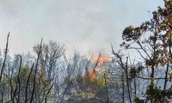 Malkara’da makilik alanda yangın