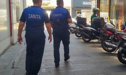 Manavgat’ta yaya güvenliği denetimi