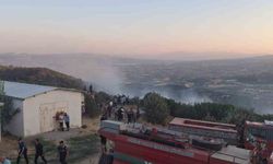 Manisa’da orman yangını