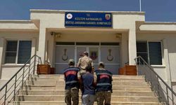 Mardin’de hayvanlara ilişkin uygunsuz paylaşım yapan şahıs gözaltına alındı
