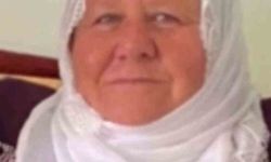 Mardin’de otomobilin çarptığı kadın hayatını kaybetti