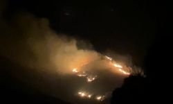 Marmara Adası’nda arazi yangını başladı