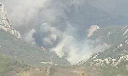 Mersin’de ikinci orman yangını