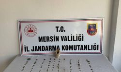 Mersin’de tarihi eser operasyonu