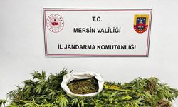 Mersin’de uyuşturucu operasyonu