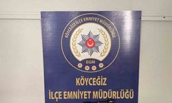 Muğla’da ruhsatsız silah operasyonu