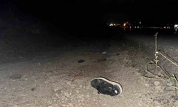 Önce kamyonet, ardından otomobil çarptı... Genç sürücü kazada hayatını kaybetti