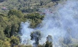 Ordu’da bahçe temizliği yangına yol açtı