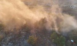 Ordu’da ormanlık alanda çıkan yangın söndürüldü