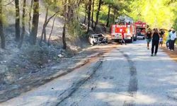 Ormana sıçrayan yangın söndürüldü