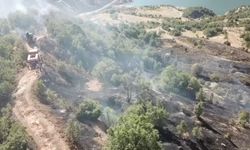 Ormanlık alanda çıkan yangın büyümeden söndürüldü