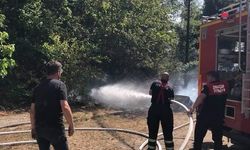 Ormanlık alanda yangın