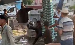 Pazar yerinde 3 kişi, bir genci tekme tokat dövdü